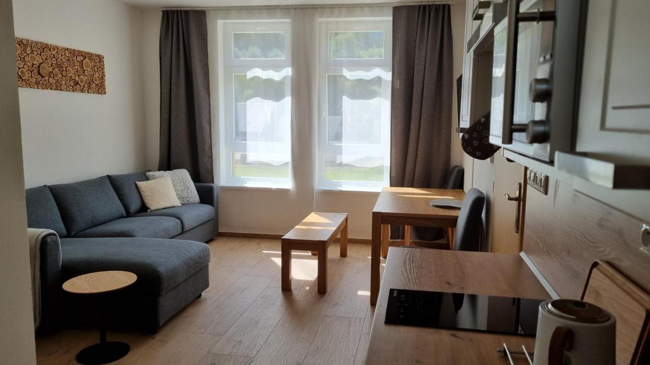 Apartmany Mlynska Horní Maršov Zewnętrze zdjęcie